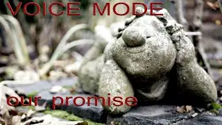 Mendy Voice / Voice Mode / 