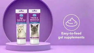 High Calorie Gel Supplement for Cats | Vitamin & Mineral Gel Supplement for Cats