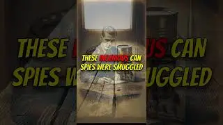 WW2 CRAZY Secret Message Strategy!!! #facts #crazy #ww2 #secret #win
