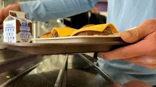 Farm to cafeteria: School menu includes locally raised beef at Springville-Griffith Institute HS