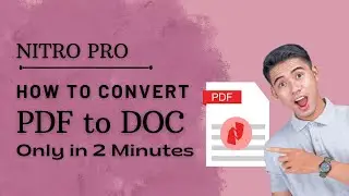 Nitro Pro Guide: Convert PDF to DOC Format in Minutes