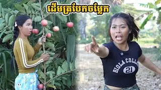 រឿង ដើមត្របែកចម្លែក