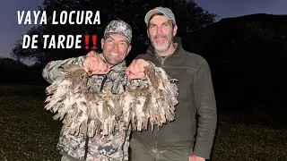 P&aacute;jaros Altos..En los Bajos de la Sierra