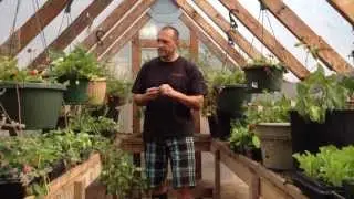 Meet the Farmer - Shadow Mountain Farm