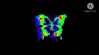 Killing butterflies -Lewis Blissett (Lyrics)