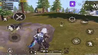 Every fight tells a story…this one ends with with chicken dinner