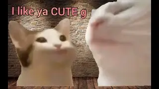 (Pop Cat vs Vibing Cat) I like ya cut g