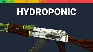 AK-47 Hydroponic - Skin Float And Wear Preview