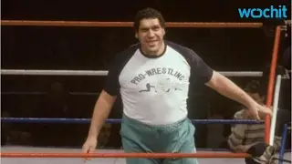 Andre The Giant's Daughter Shows Up At Smackdown