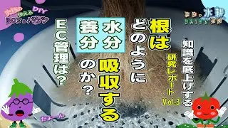 【DIY水耕栽培】知識を高めよう！EC管理と浸透圧、根が水分・養分を吸収するメカニズム