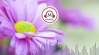 Music &ndash; Cosmic Storm &ndash; A Himitsu