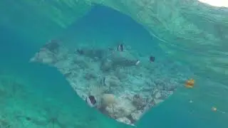 Isola di Kamadhoo Atollo di Baa Maldive Gennaio 2024