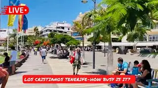 🔴LIVE: Los Cristianos Tenerife-How Busy it it? ☀️