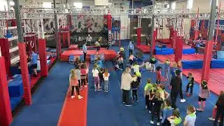 Busy Day at Ninja Nation - Field Trip
