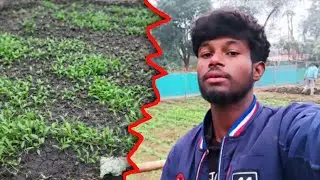 Sab Saag Ug Gaya 