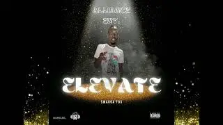 Swagga Fox - Elevate (Official Audio)