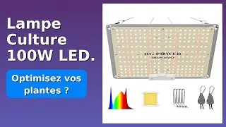 AVIS (2026): Lampe Culture 100W LED.. D&Eacute;TAILS ESSENTIELS