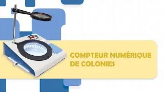 COMPTEUR DE COLONIES - AUXILAB
