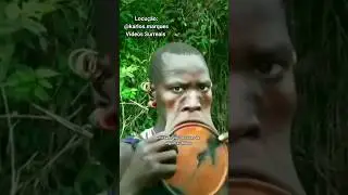 O grande disco labial conhecido como botoque ou metara! 😲🤓