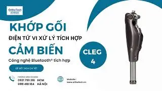 Cleg 4