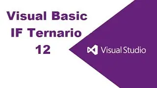 Visual Basic IF Ternario 12