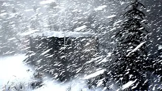 STORM APOCALYPSE Blizzard with Ferocious Snowstorm Sounds and Roaring Winds