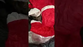 Crazy kitty fighting our inflatables #christmas #inflatable #funnycat #cat #funnycatvideos #catlover