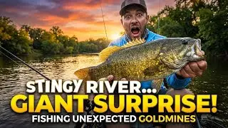 Fishing The Stingy DuPage River Surprised Me!