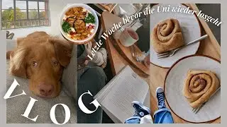 Another VLOG: Letzte Tage Semesterferien, Zimtschnecken Backen, Wohnungs-Update, Life Lately 🍂