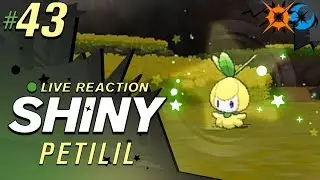 GONE, NOT FORGOTTEN! SHINY PETILIL! &bull; Pok&eacute;mon Ultra Sun and Moon Shiny Reaction #43 &bull; CBAD