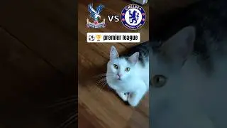 Crystal Palace vs. Chelsea FC premier league prediction