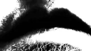 DYFC - Johnny, The Perfect Son