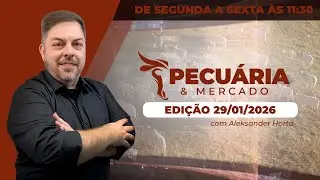 Arroba do boi ganha fôlego com encurtamento das escalas e SP já registra negócios acima dos R$330