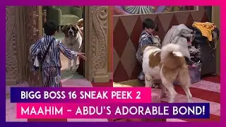 Bigg Boss 16 Sneak Peek 2 | 27 декабря 2022 г.: В доме появляется новый пёс Маахим