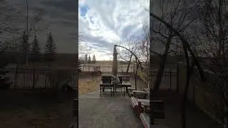 Отлично. (Дупс)