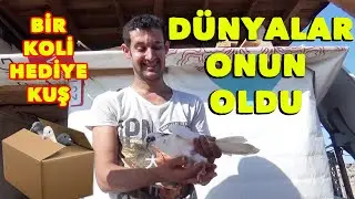BİR KOLİ DOLUSU KUŞ HEDİYE ETTİK DÜNYALAR ONUN OLDU