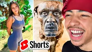 I Went Down a YouTube SHORTS Rabbit Hole..