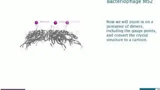 Structural constraints on the three-dimensional geometry of simple viruses - 4