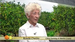Early Agriculture of Martin County - Citrus Farming
