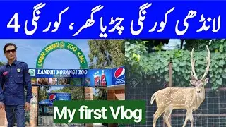 Korangi Landhi Zoo Korangi no.4 || Beautiful Birds and Animals || Karachi Mini Zoo