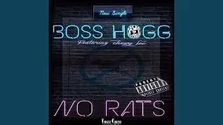 No Rats