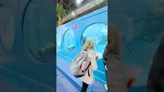 Сегодня закрытие #boot #d&uuml;sseldorf Кто не был, еще есть день насладиться выставкой  #интерпарус