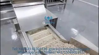High qualit automatic peanut coating machine# peanut coating#machine