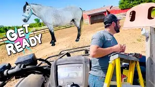 PREPARING MY MARE&rsquo;S FOALING AREA!!!