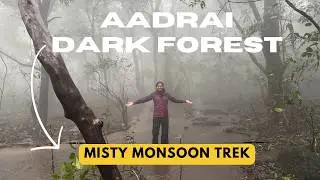 Aadrai Dark Forest | Fog, Rains & Jungle Mystery | Monsoon Jungle Trek Maharashtra | आदराई ट्रेक