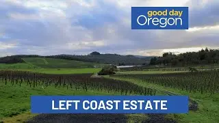 Oregon winery offering special holiday deals