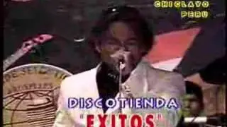 papillon-que paso?