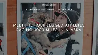 Meet The Champion Sled Dogs Racing 1000 Miles Across Alaska