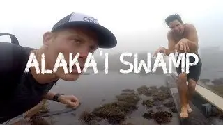 Kauai Adventures: Hiking The Alaka'i Swamp Trail