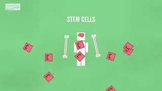 Stem Cell Therapy--A Cutting-Edge Medical Treatment